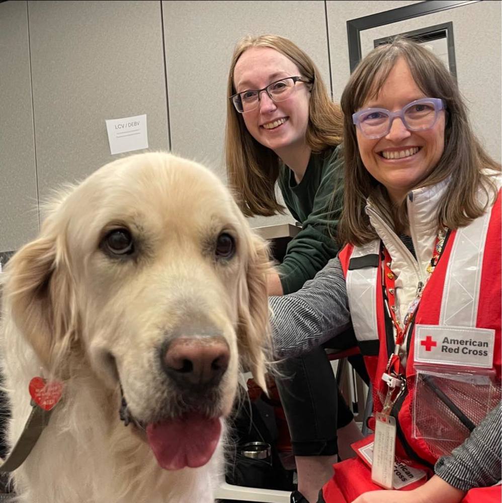 Meet your Posher, Himne